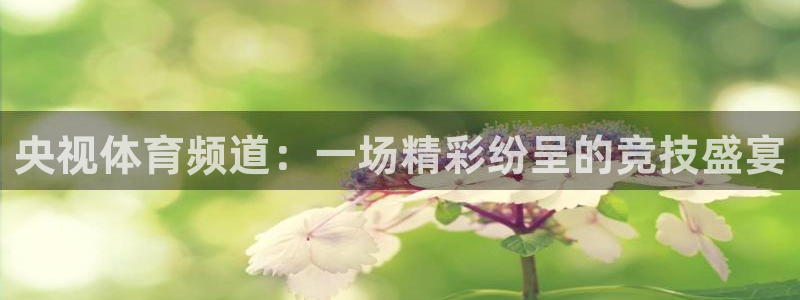 看球吧免费直播：央视体育频道：一场精彩纷呈的竞技盛宴