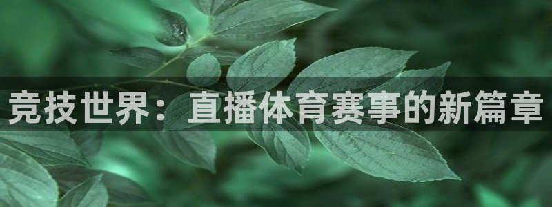 看球吧在线直播：竞技世界：直播体育赛事的新篇章