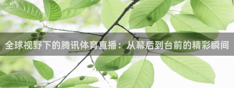nba视频直播无插件看球吧：全球视野下的腾讯体育直播：从幕后到台前的精彩瞬间