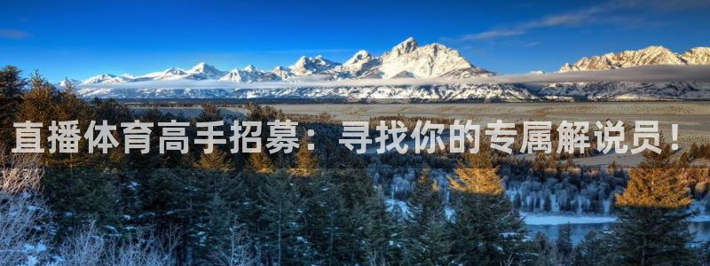看球吧直播nba：直播体育高手招募：寻找你的专属解说员！