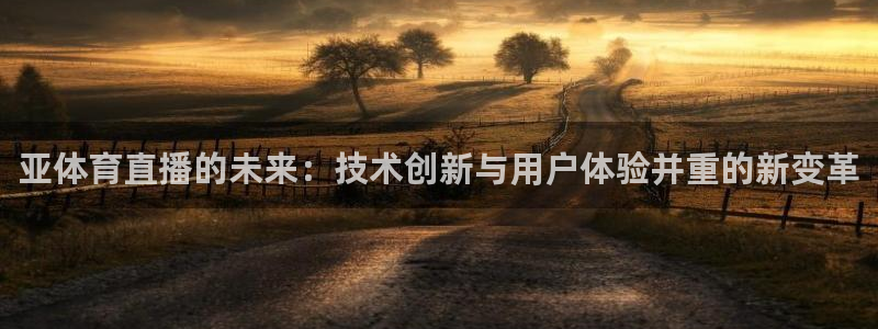 88直播看球吧：亚体育直播的未来：技术创新与用户体验并重的新变革