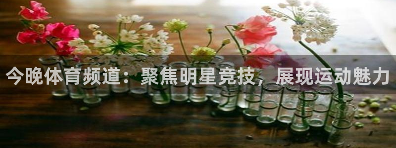 看球吧在线观看：今晚体育频道：聚焦明星竞技，展现运动魅力