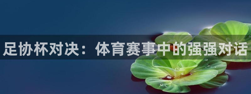 鲨鱼直播nba在线看球吧：足协杯对决：体育赛事中的强强对话