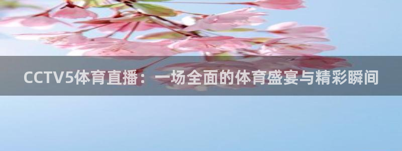 看球吧直播cba直播：CCTV5体育直播：一场全面的体育盛宴与精彩瞬间