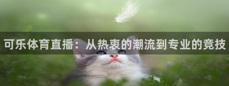 看球吧足球直播：可乐体育直播：从热衷的潮流到专业的竞技