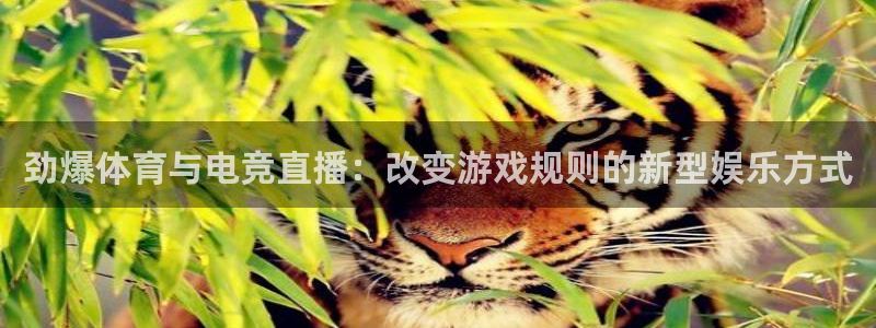直播看球吧：劲爆体育与电竞直播：改变游戏规则的新型娱乐方式