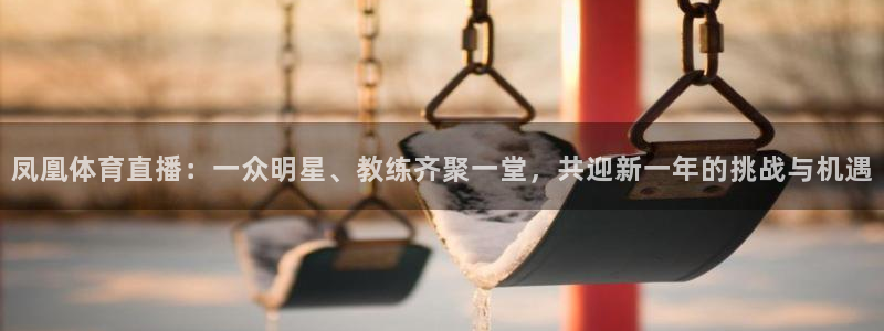 看球吧直播入口：凤凰体育直播：一众明星、教练齐聚一堂，共迎新一年的挑战与机遇