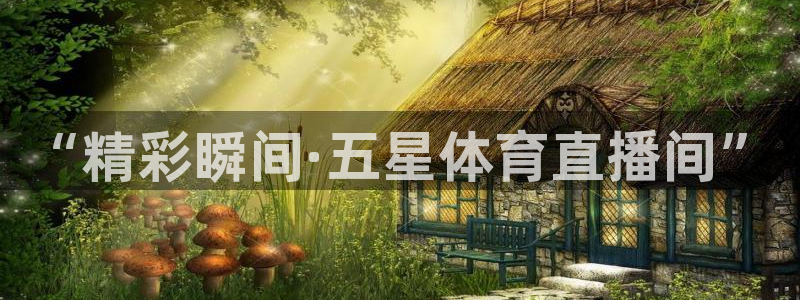 看球吧nba在线高清免费：“精彩瞬间·五星体育直播间”